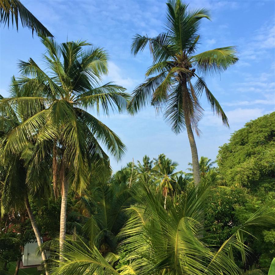 Chill Space Negombo Exterior foto