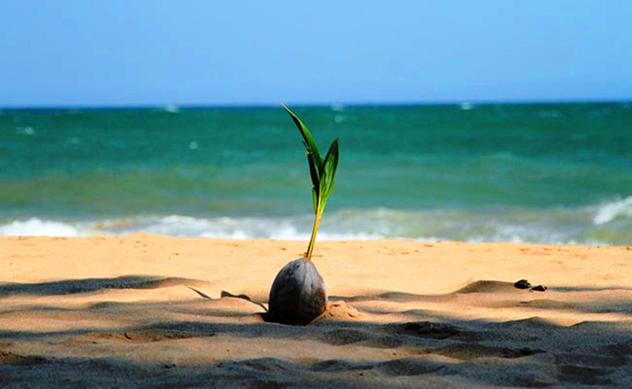 Chill Space Albergue Negombo Exterior foto